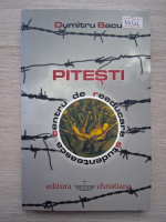 Dumitru Bacu - Pitesti. Centru de reeducare studenteasca (uzata)