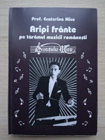 Ecaterina Micu - Aripi frante pe taramul muzicii romanesti