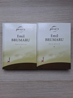 Emil Brumaru - Opera poetica (2 volume)