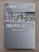 Ilie Badescu - Enciclopedia scociologiei, volumul 2. Teorii contemporane