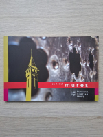 Judetul Mures (ghid turistic)