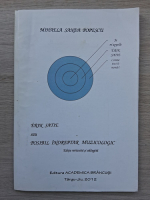 Mihaela Sanda Popescu - Erik Satie sau posibil indreptar muzicologic
