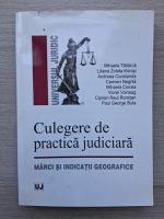 Mihaela Tabarca - Culegere de practica judiciara. Marci si indicatii geografice