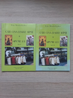 Raluca Alexandru Vlaiculescu - Cate ceva despre sfinti si minunile lor (2 volume)