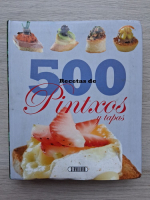 500 recetas de pintxos y tapas