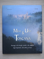 Alessandro Naldi - Mille and una Toscana. Paesaggi, citta, borghi, castelli, ville, abbazie dagli appennini, alle colline, al mare