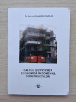 Alexandru Vasiliu - Calcul si eficienta economica in domeniul constructiilor