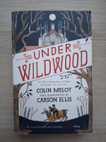 Colin Meloy - Under wildwood