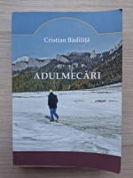 Cristian Badilita - Adulmecari
