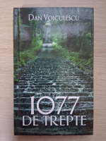 Dan Voiculescu - 1077 de trepte