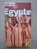 Egypte. 2008-2009 country guide
