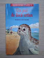 Gabriela Krummel - Un pui de foca orfan. Poveste cu pictograme