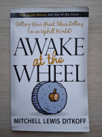 Mitchell Lewis Ditkoff - Awake at the wheel