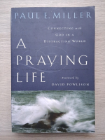 Paul E. Miller - A praying life 