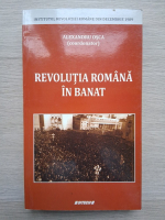 Revolutia romana in Banat (coordonator Alexandru Osca)
