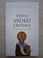 Sfantul Andrei Criteanul - Omilii la sarbatori