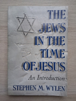 Stephen M. Wylen - The jews in the time of Jesus. An introduction