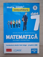 Anton Negrila, Maria Negrila - Matematica. Algebra, geometrie, clasa a VII-a, partea II
