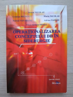 Nicolae Avram, Cristian Predescu - Operationalizarea conceptului DD in siderurgie