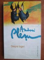Andrei Plesu - Despre ingeri 