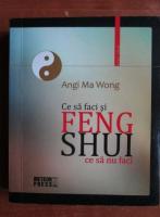Angi Ma Wong - Feng Shui. Ce sa faci si ce sa nu faci