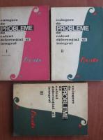 Lia Arama - Culegere de calcul diferential si integral (3 volume)