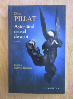 Anticariat: Dinu Pillat - Asteptand ceasul de apoi