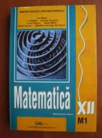 Ion Mihai - Matematica. Manual pentru clasa a XII-a M1