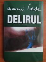 Anticariat: Marin Preda - Delirul (2003)