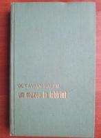 Octavia Paler - Un muzeu in labirint (coperti cartonate)