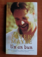 Anticariat: Peter Mayle - Un an bun