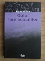 Raymond Aron - Opiul intelectualilor