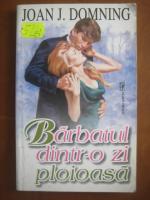 Joan J Domning - Barbatul dintr-o zi ploioasa