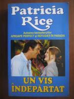 Patricia Rice - Un vis indepartat