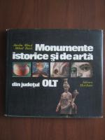 Anticariat: Aurelia Minca, Mihail Butoi - Monumente istorice si de arta din judetul Olt (album)