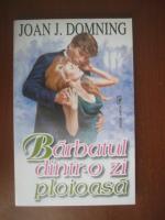 Joan J Domning - Barbatul dintr-o zi ploioasa