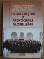 Tinerii crestini si provocarile globalizarii