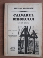 Stelian Vasilescu - Calvarul Bihorului (1918-1919)
