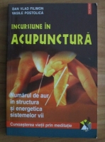 Dan Vlad Filimon - Incursiune in acupunctura