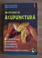 Dan Vlad Filimon - Incursiune in acupunctura