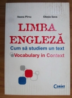 Anticariat: Ileana Pirvu - Limba Engleza. Cum sa studiem un text. Vocabulary in context