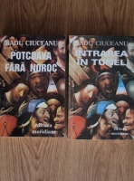 Radu Ciuceanu - Potcoava fara noroc. Intrarea in tunel (2 volume)