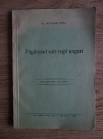 Octavian Popa - Fagarasul sub regii ungari