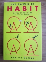 Charles Duhigg - The power of habit