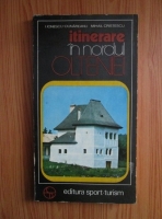 Anticariat: I. Ionescu-Dunareanu - Itinerare in nordul Olteniei