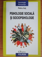 Petru Ilut - Psihologie sociala si sociopsihologie. Teme recurente si noi viziuni