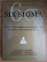 Anticariat: Peter S. Pande - Six Sigma