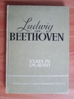Richard Petzoldt - Ludwig van Beethoven. Viata in imagini