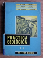 Stefan Airinei - Practica geologica