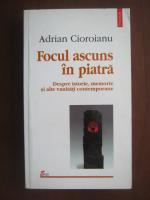 Adrian Cioroianu - Focul ascuns in piatra
